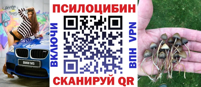 Галлюциногенные грибы прущие грибы  kraken онион  Зеленокумск 