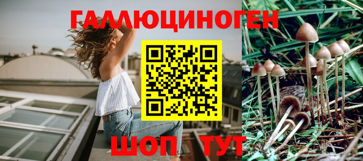 Зеленокумск  Псилоцибиновые грибы мицелий  Вход с VPN 