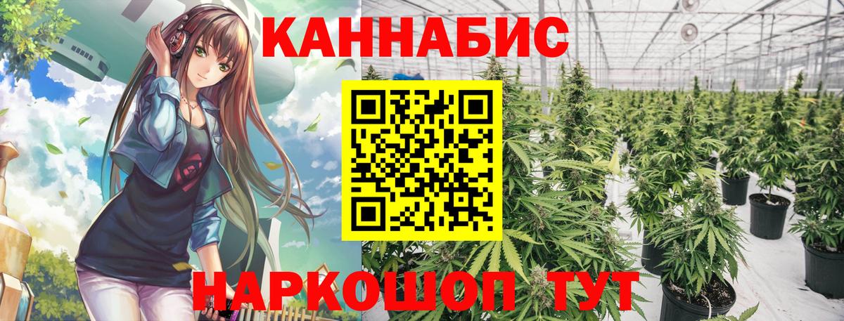 Канабис Bruce Banner  Марихуана OG Kush  Зеленокумск  Шишки марихуана гибрид  Вход с VPN  Конопля THC 21% 